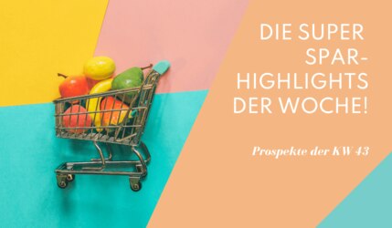 Prospekt Highlight KW43