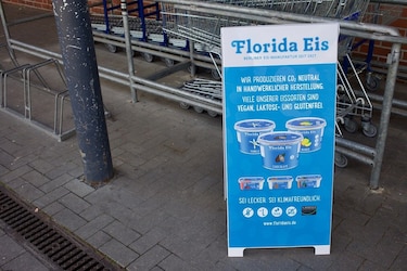 Florida-Eis-Sorten: Milcheis & Fruchteis im Überblick