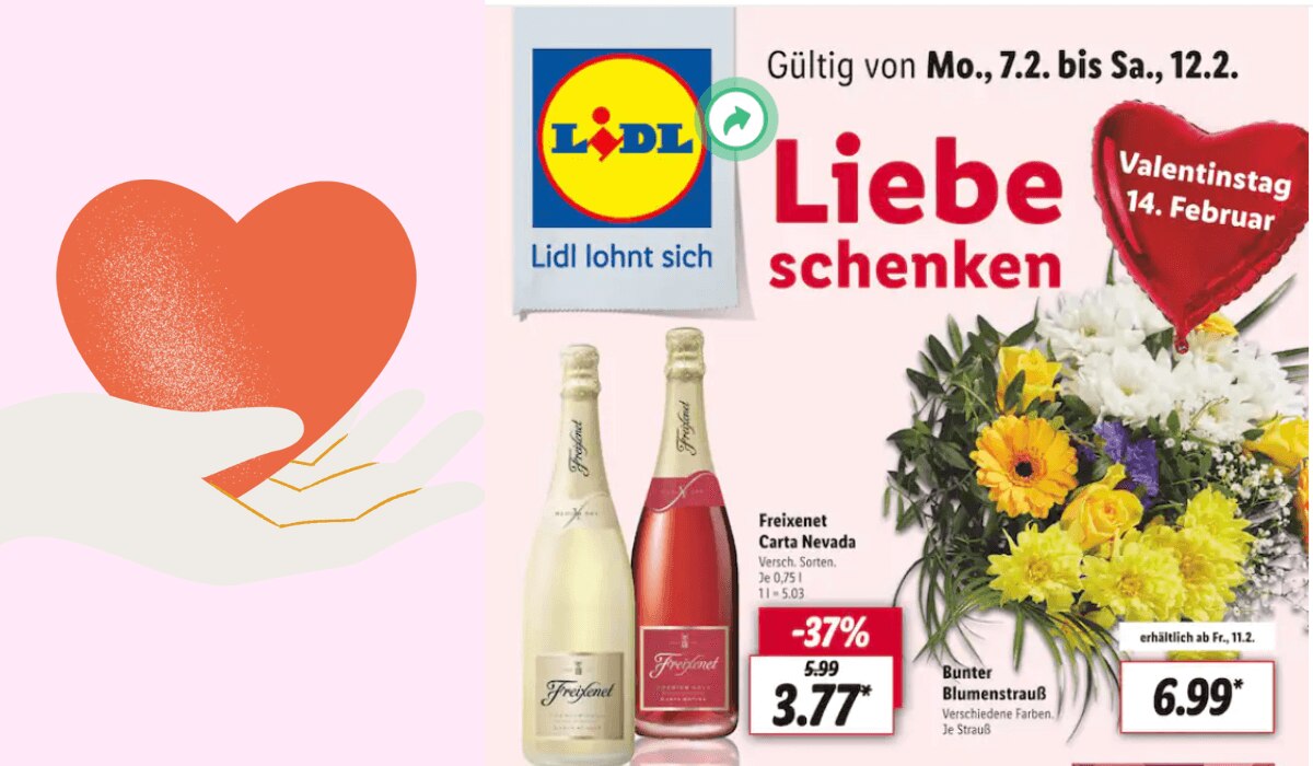 Prospekt Highlights KW6 Lidl