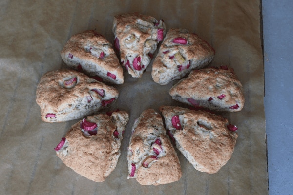 Herbifoods Rhabarber Scones 