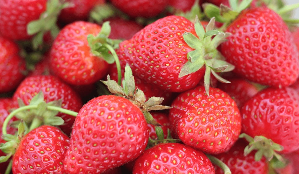 Erdbeerzeit! Die leckersten Erdbeer-Rezepte für den Sommer