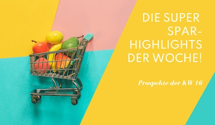 Prospekt Highlights KW16