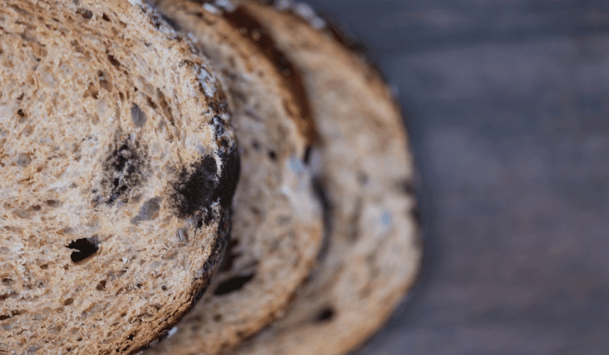 Mindesthaltbarkeit von Getreide und Brot