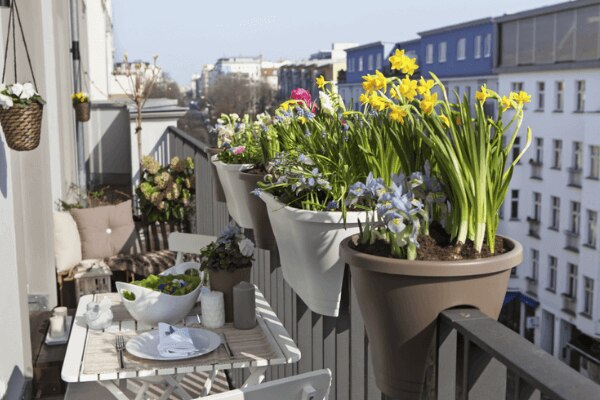 Bienenblumen