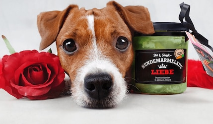 Hundemarmelade aus der Höhle der Löwen