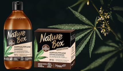 Nature Box Hanf: Als flüssiges und festes Shampoo erhältlich