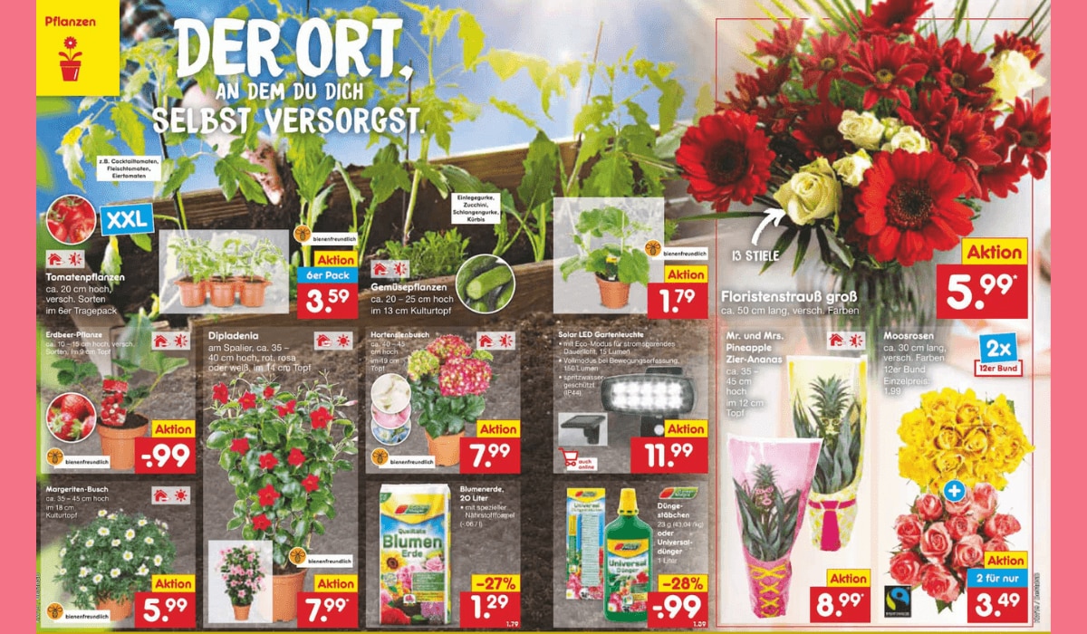 Prospekt Highlight KW19 Netto MD