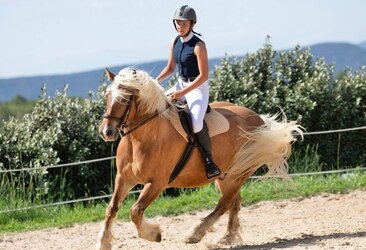 Reiten mit Zauberstab von Stallzauber