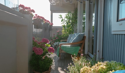 Sommer auf Balkonien - Pflanzen-, Möbel- & Deko-Tipps für euren Balkon