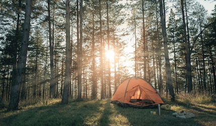 Campingausrüstung von Lidl