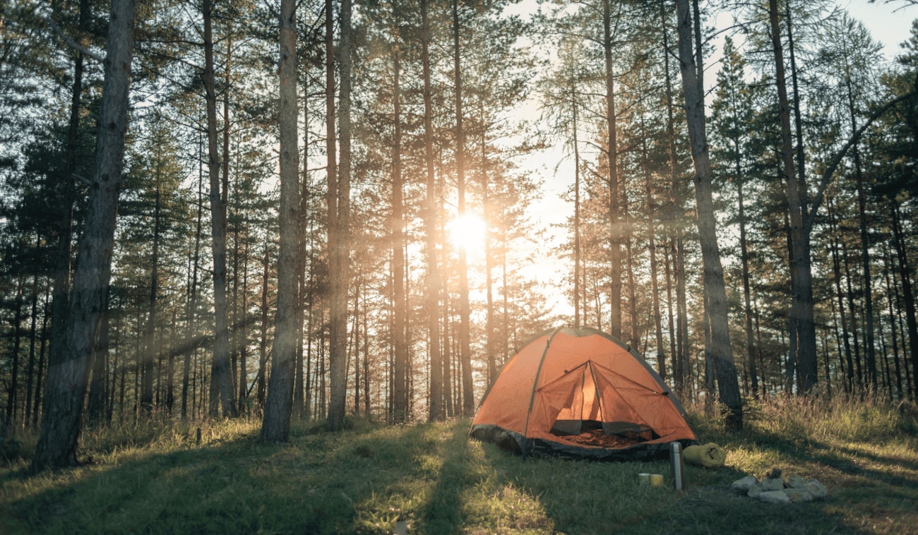 Camping mit Lidl: Die besten Deals für euren Urlaub