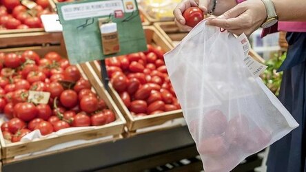 Gratis Frischenetz für Obst und Gemüse bei REWE und PENNY