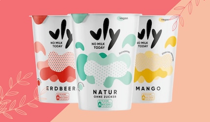 vly Joghurtalternative - Natur, Mango, Erdbeere!