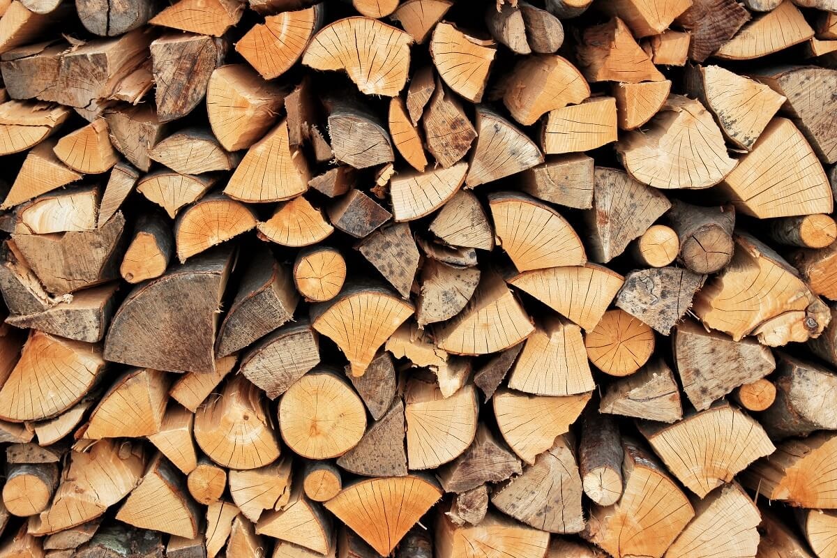Wo kann man Brennholz kaufen? Händler und Preise für Kaminholz im Überblick