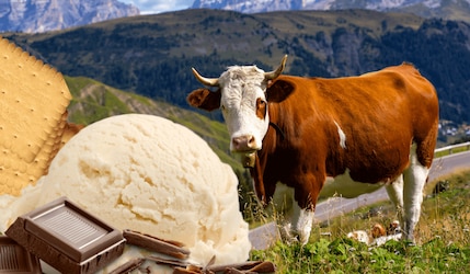 Die Milka  MMMAX Tafel "Schoko & Keks“ als neues Eis am Stiel