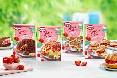 Dr. Oetker Erdbeer-Zeit Backmischungen Sorten