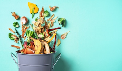 Food Upcycling: Obst- & Gemüseschalen weiterverwenden