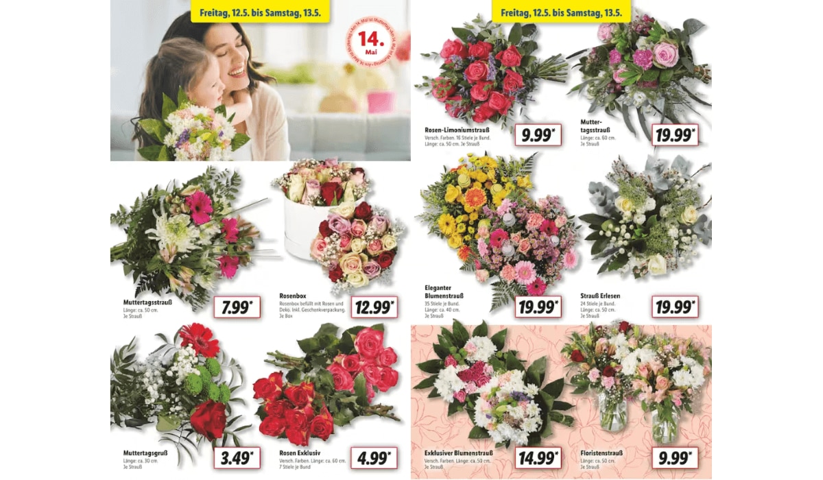 Lidl Prospekt Highlight KW 19 / 23