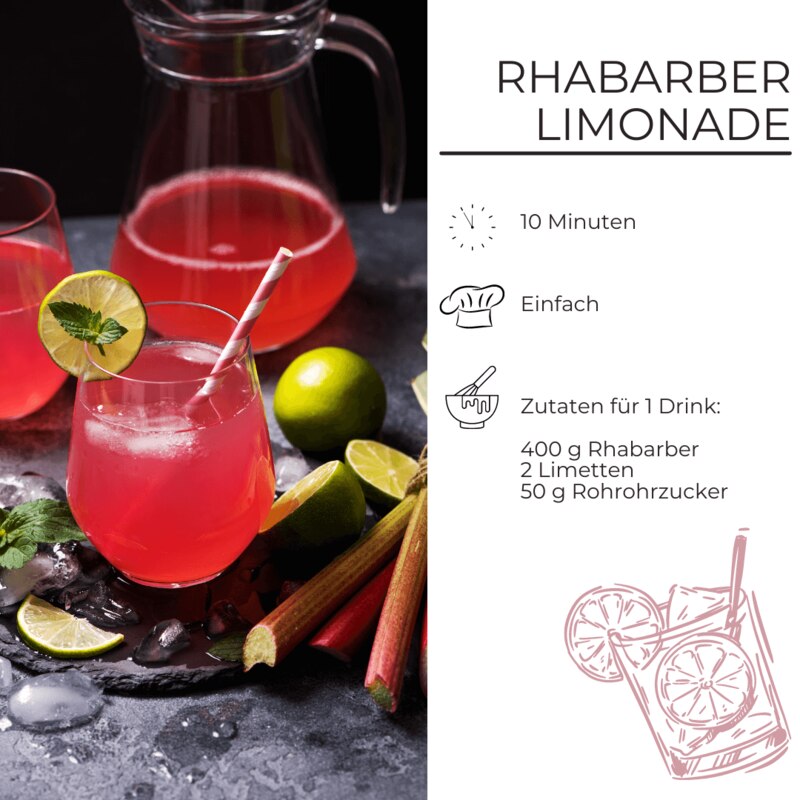 Rhabarber Limonade Zutatenliste