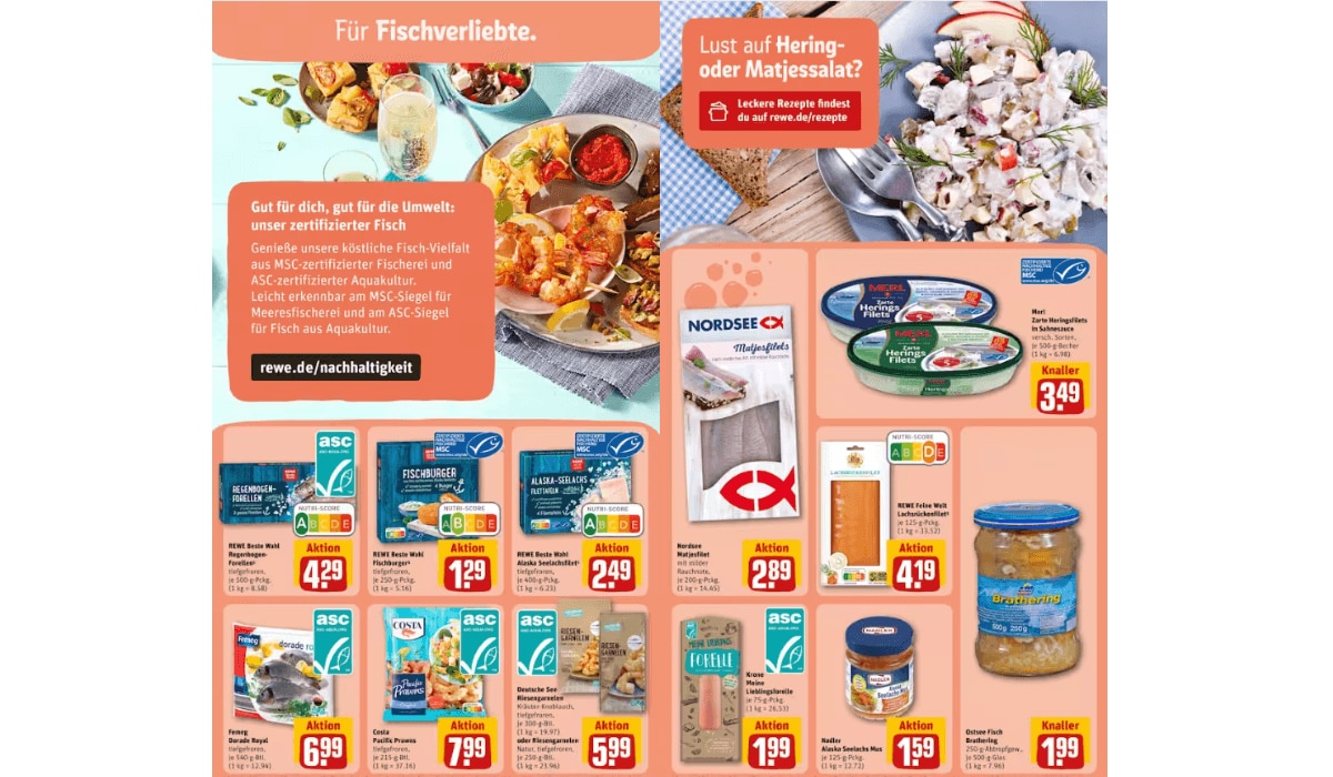 REWE Prospekt Highlights KW 36 /23