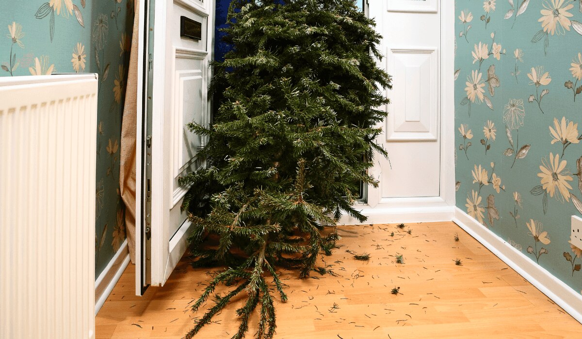 Weihnachtsbaum aus der Wohnung entsorgen