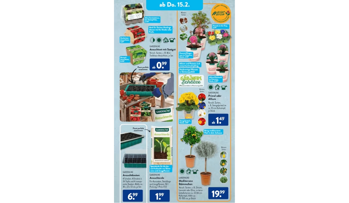 ALDI Süd Pflanzenangebote KW 7 /24