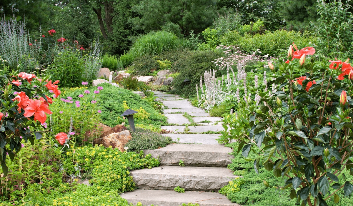 Naturnaher Garten mit Wildblumen und Steinweg