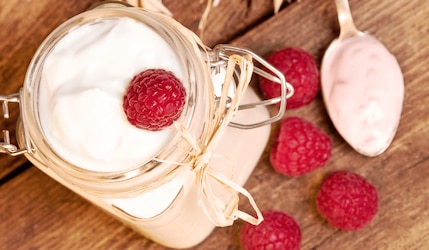 Alpro plant Protein: Joghurtalternativen in zwei neuen Sorten
