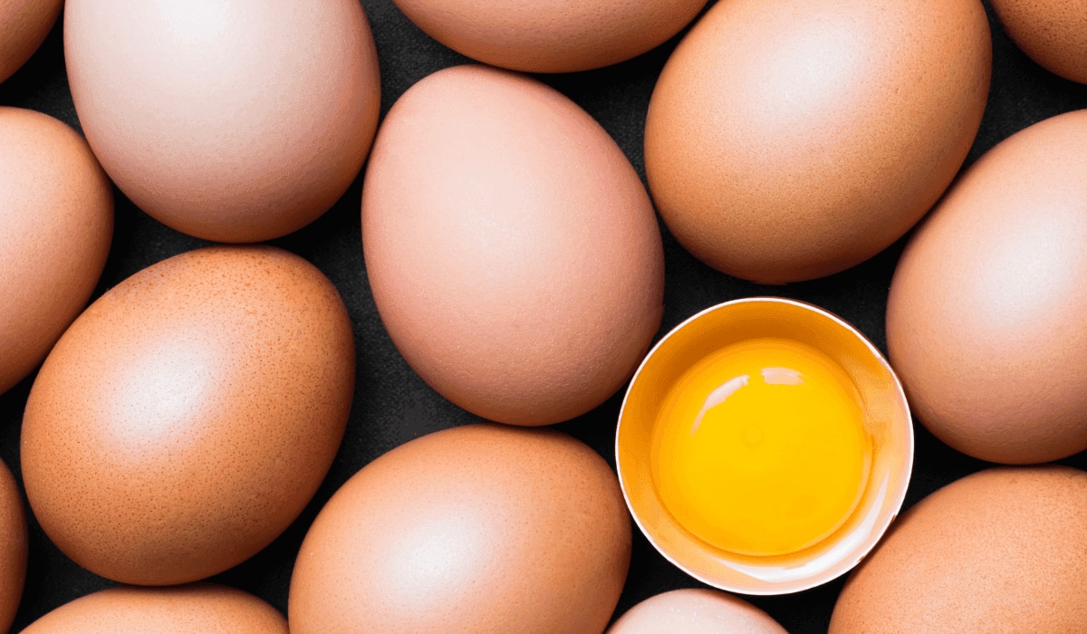 Eierlei Leckerei - Die leckersten Rezepte mit Ei