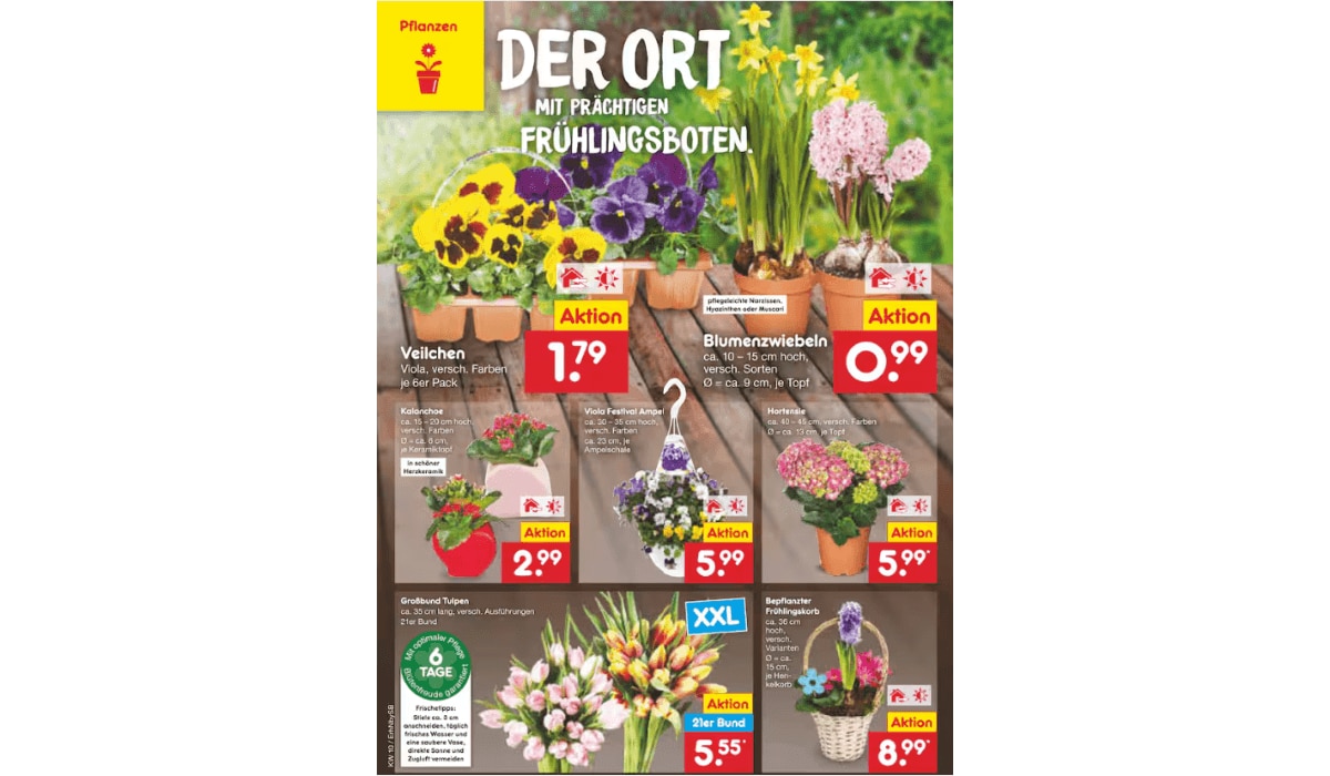 Netto Marken-Discount Prospekt-Highlights Pflanzen
