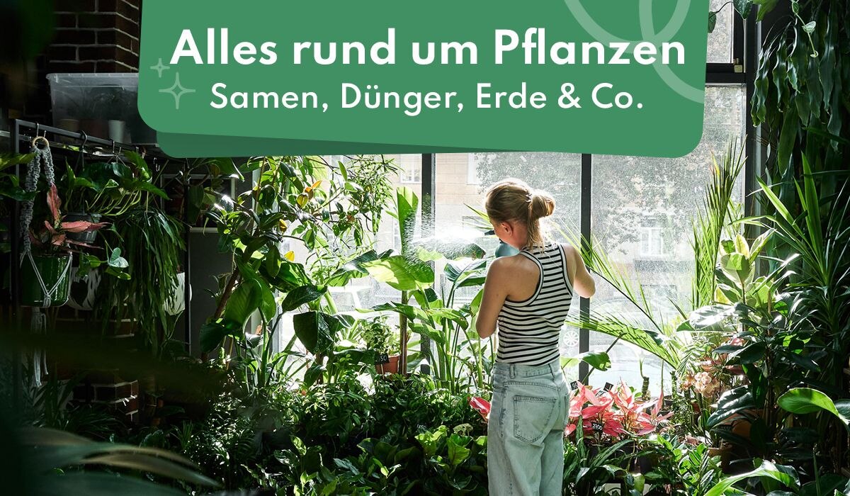 Alles rund um Pflanzen: Samen, Dünger, Erde & Co.