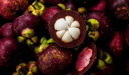 Wo kann man Mangosteen kaufen? 